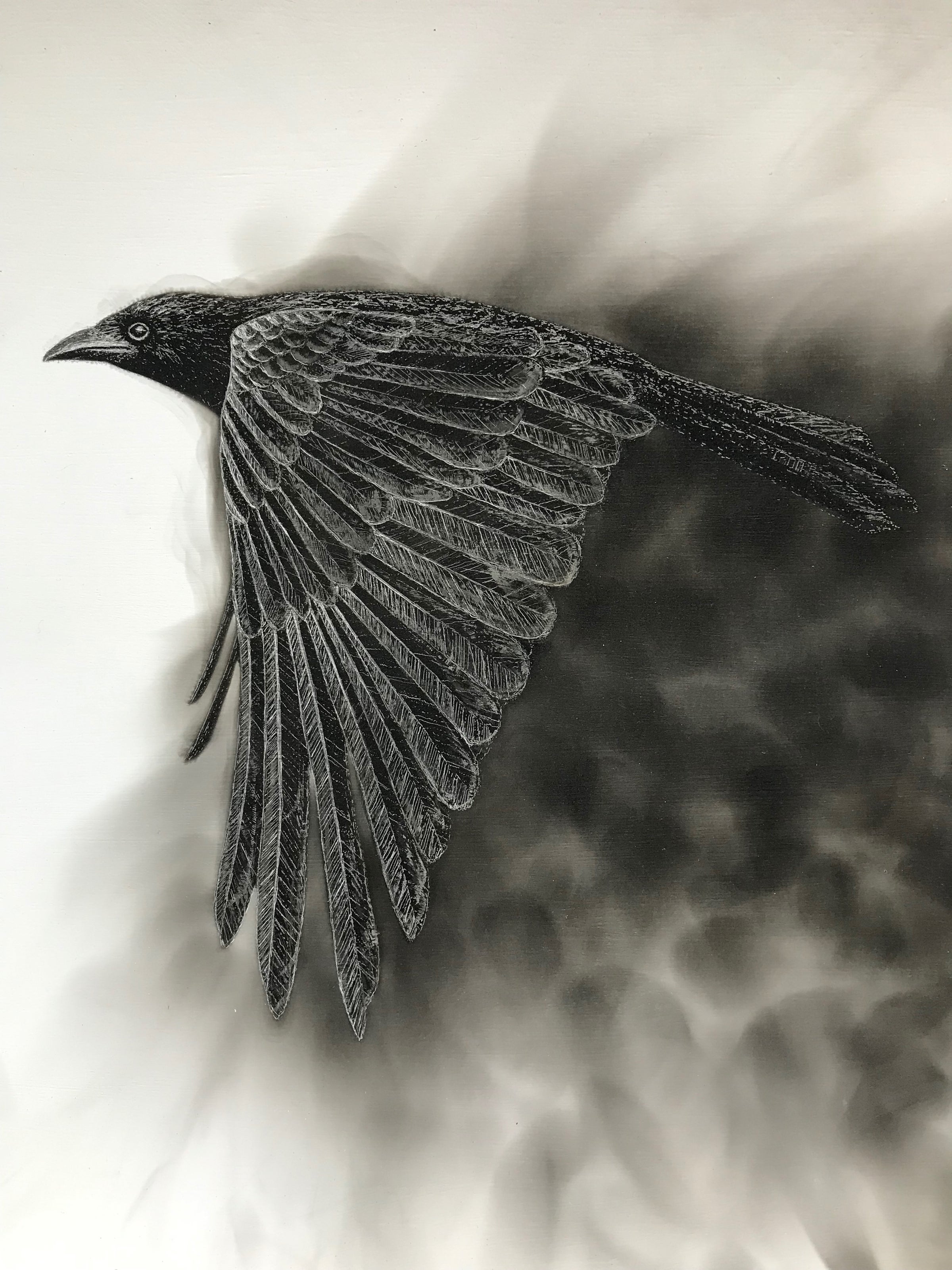 at the island artists gallery in downtown sitka contact dillon at 57